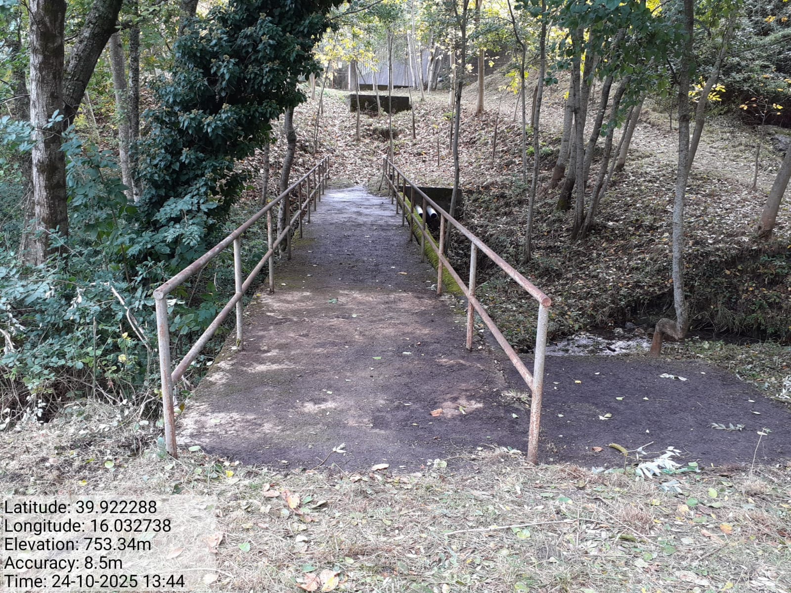 Galleria Fotografica Immagine