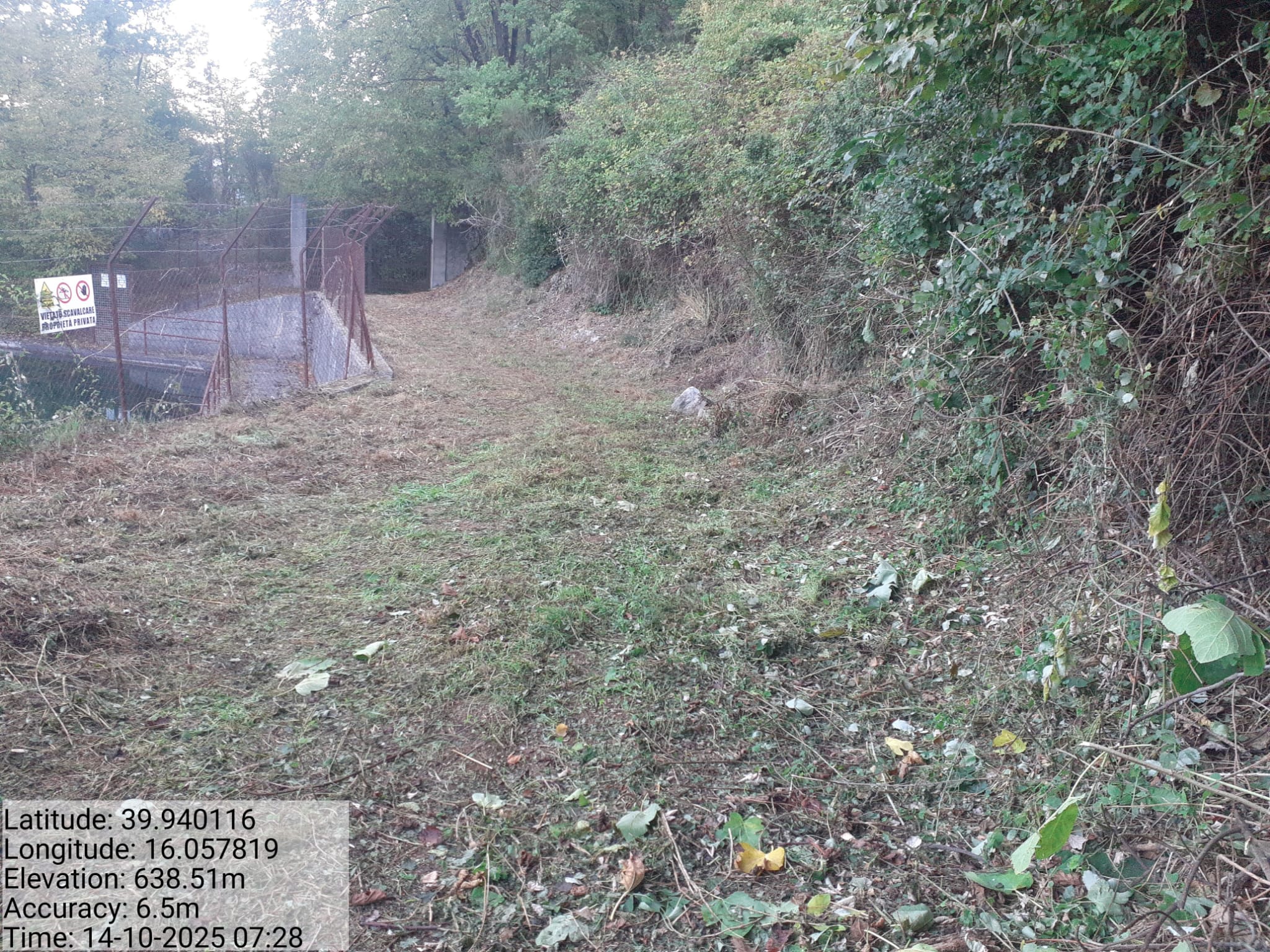 Galleria Fotografica Immagine