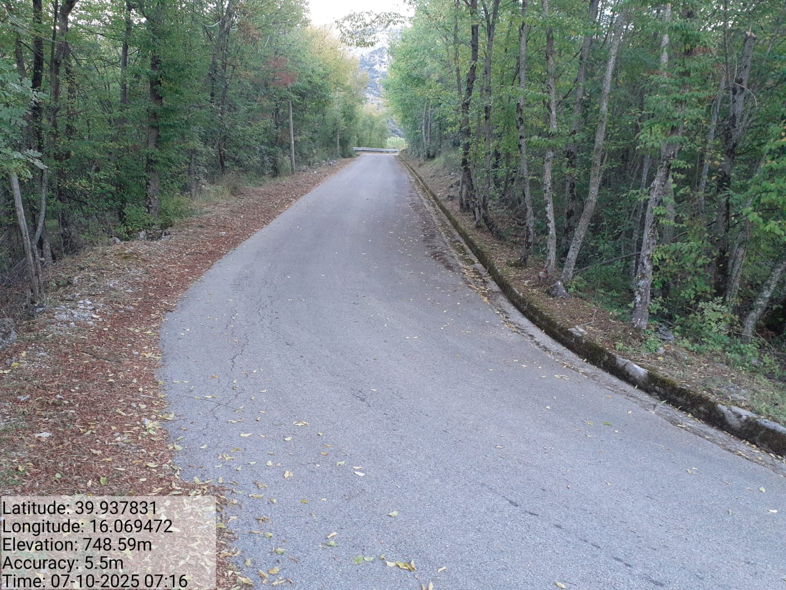 Galleria Fotografica Immagine