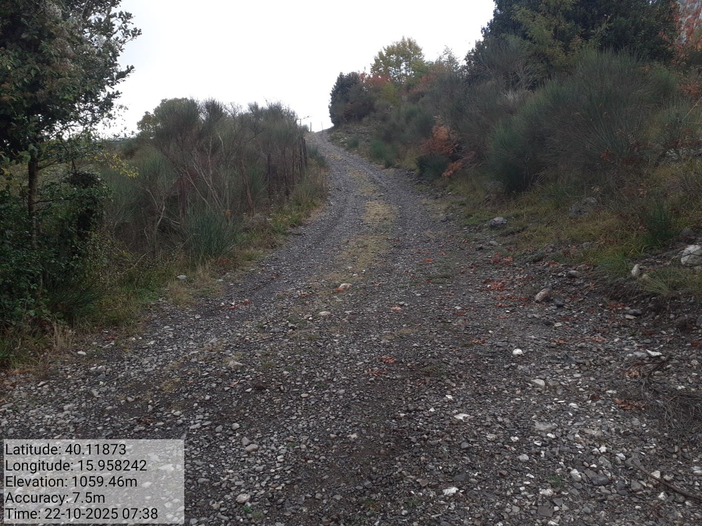 Galleria Fotografica Immagine