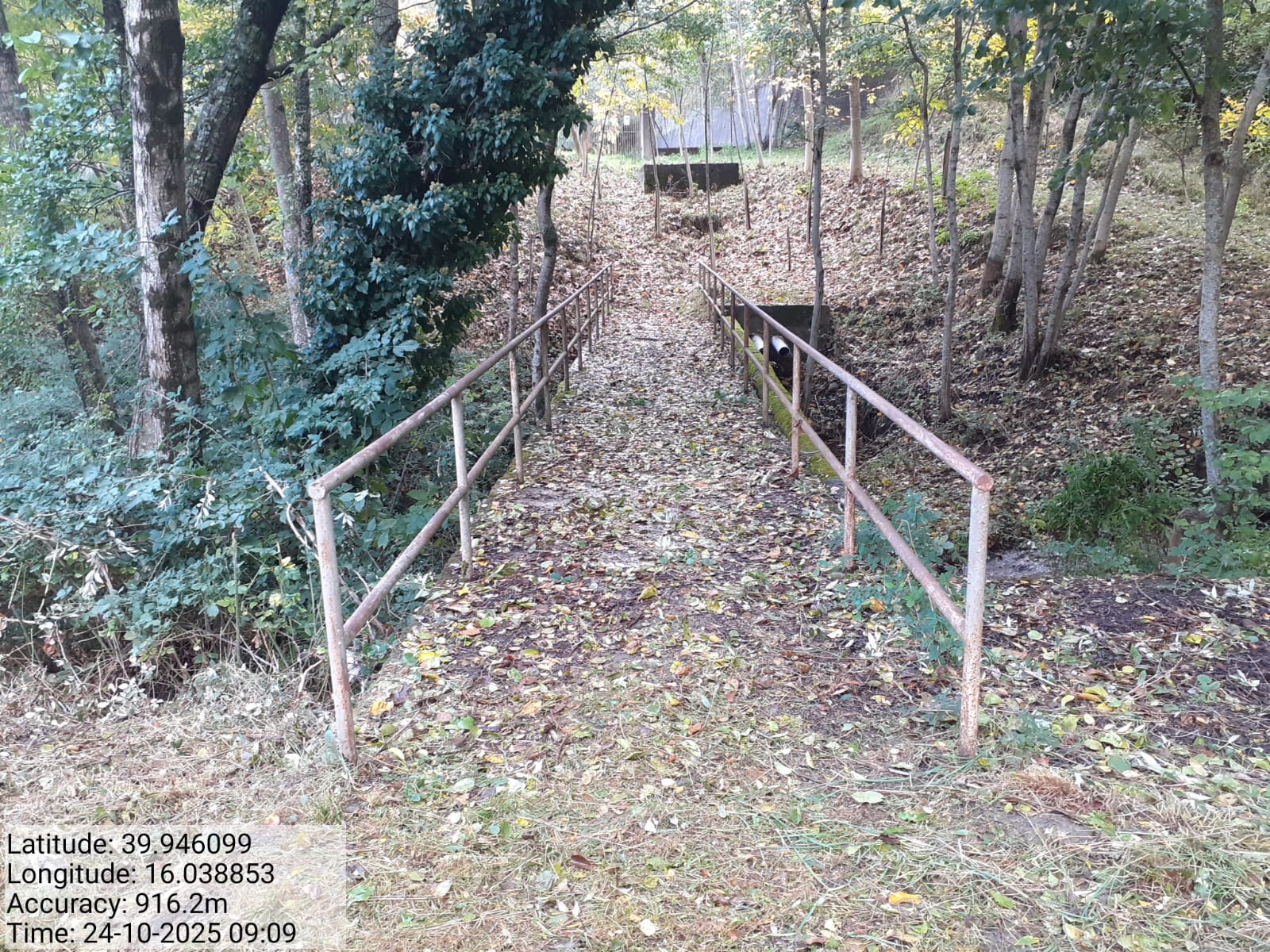 Galleria Fotografica Immagine