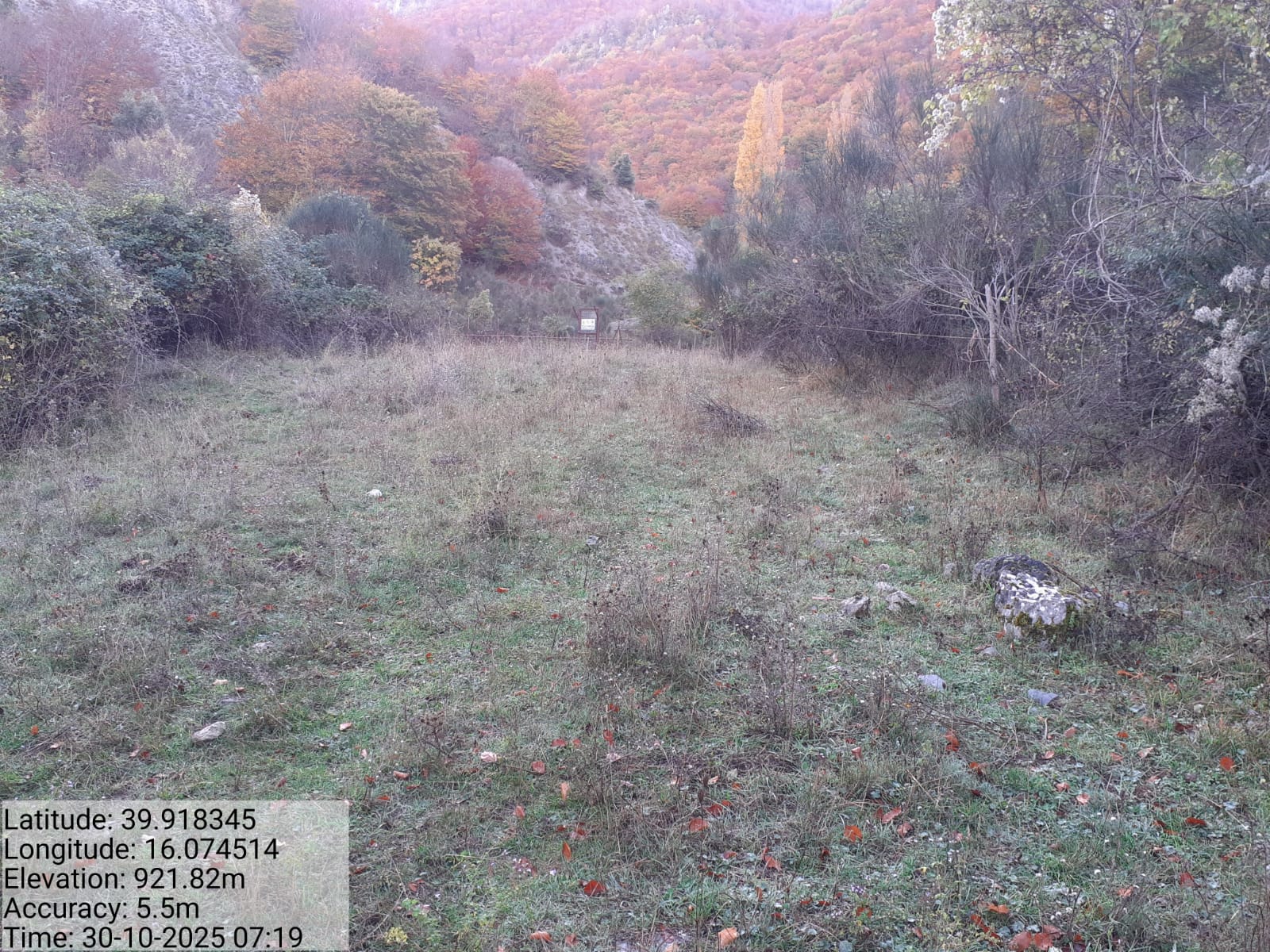 Galleria Fotografica Immagine