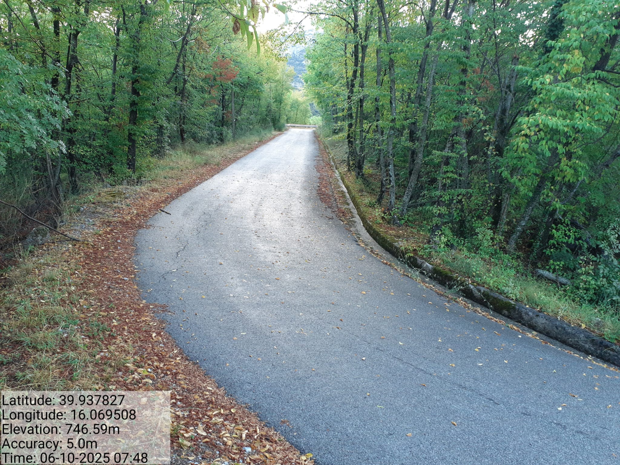 Galleria Fotografica Immagine