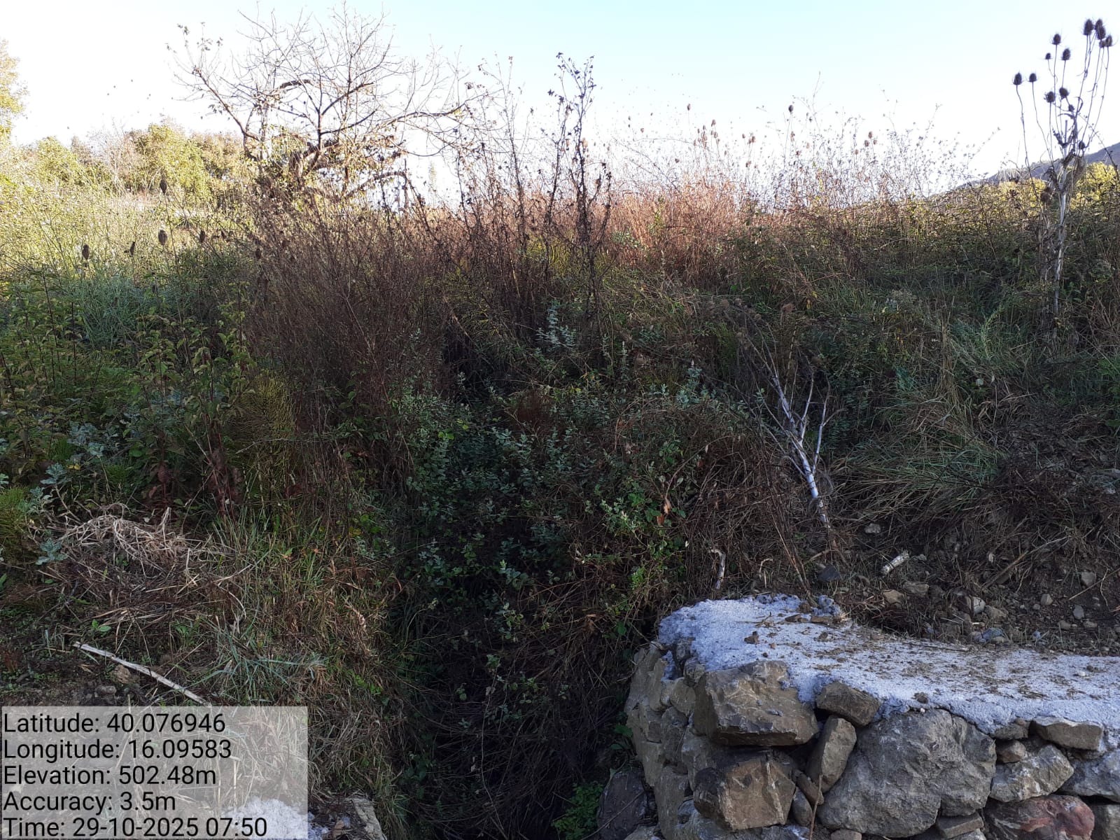 Galleria Fotografica Immagine