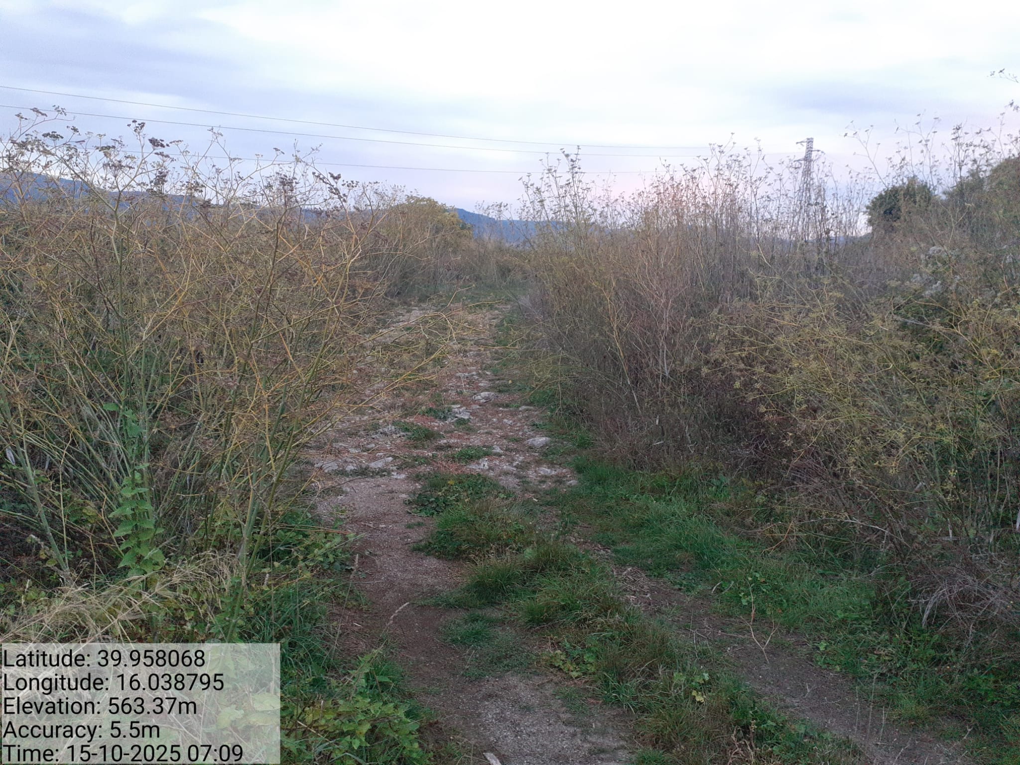 Galleria Fotografica Immagine