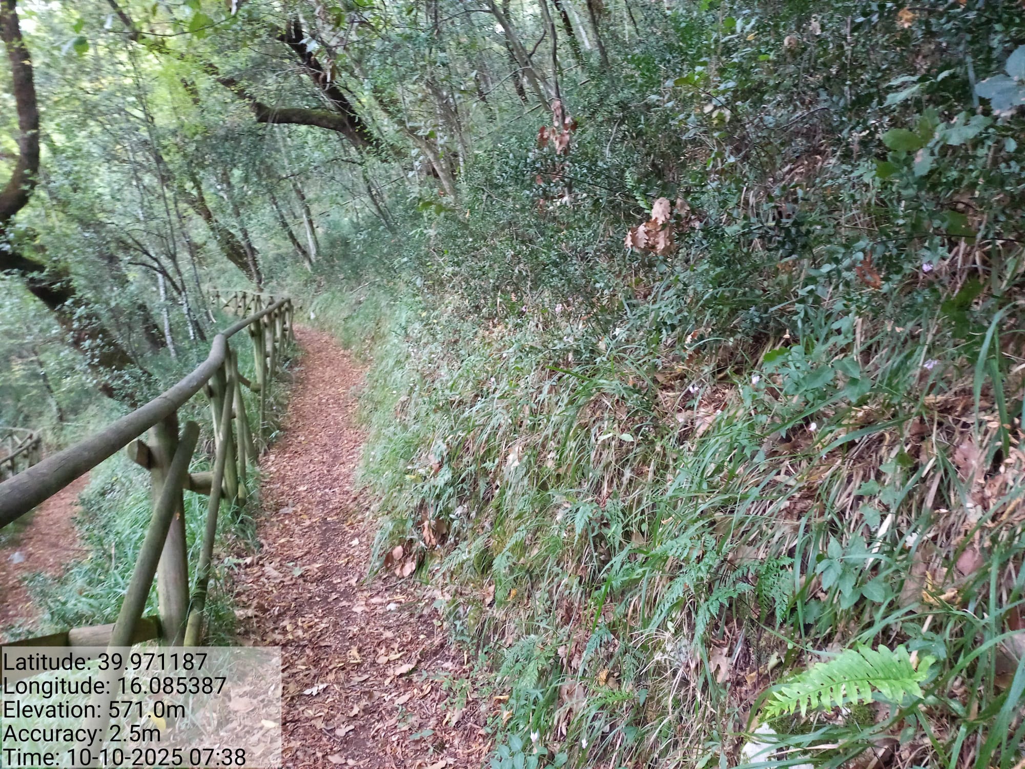 Galleria Fotografica Immagine