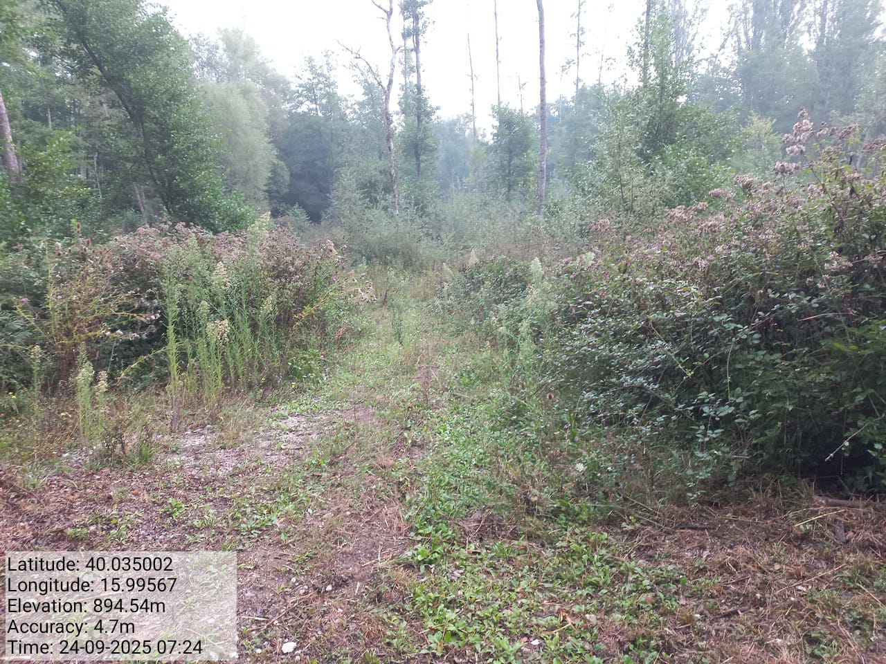 Galleria Fotografica Immagine