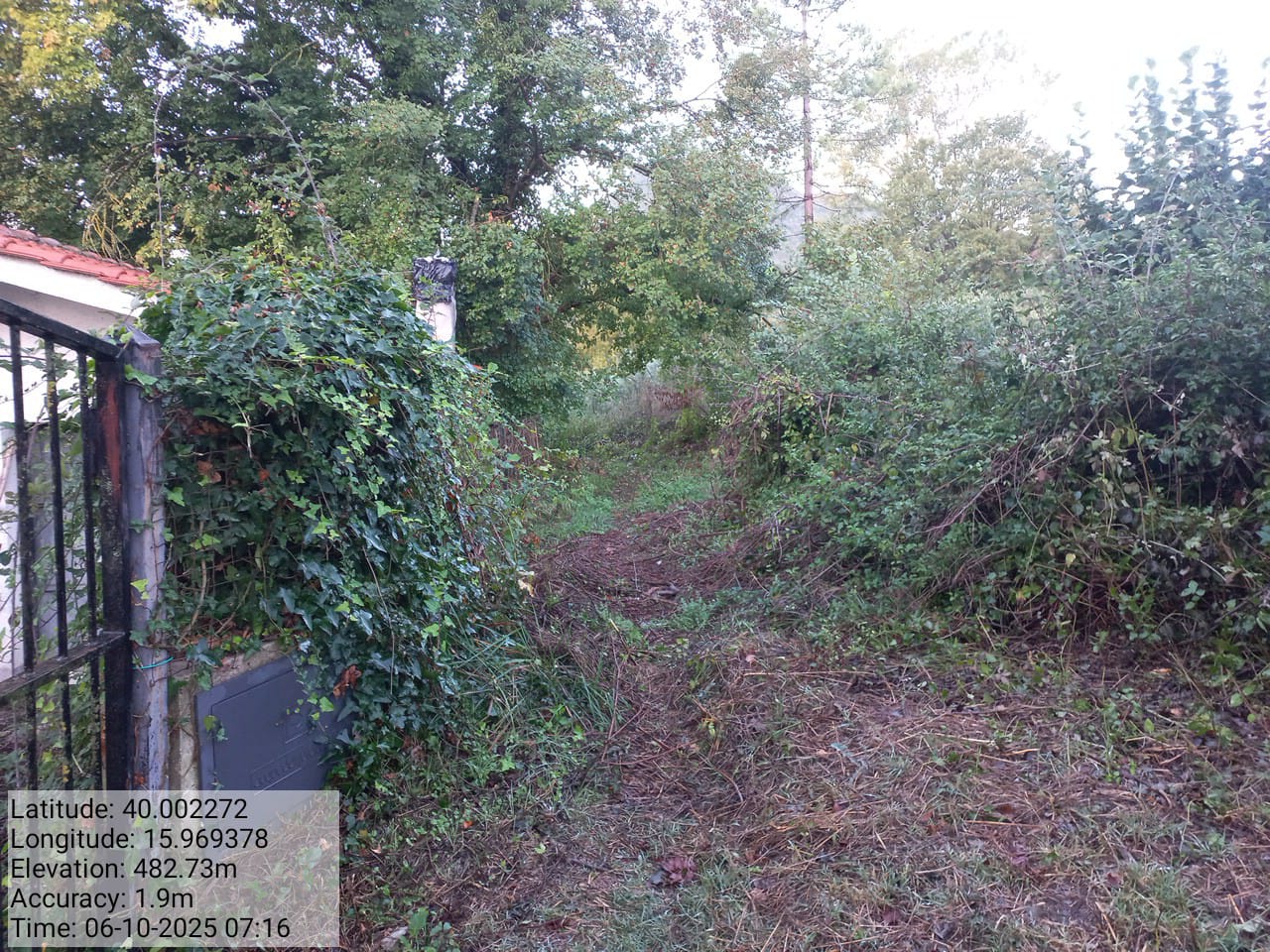 Galleria Fotografica Immagine