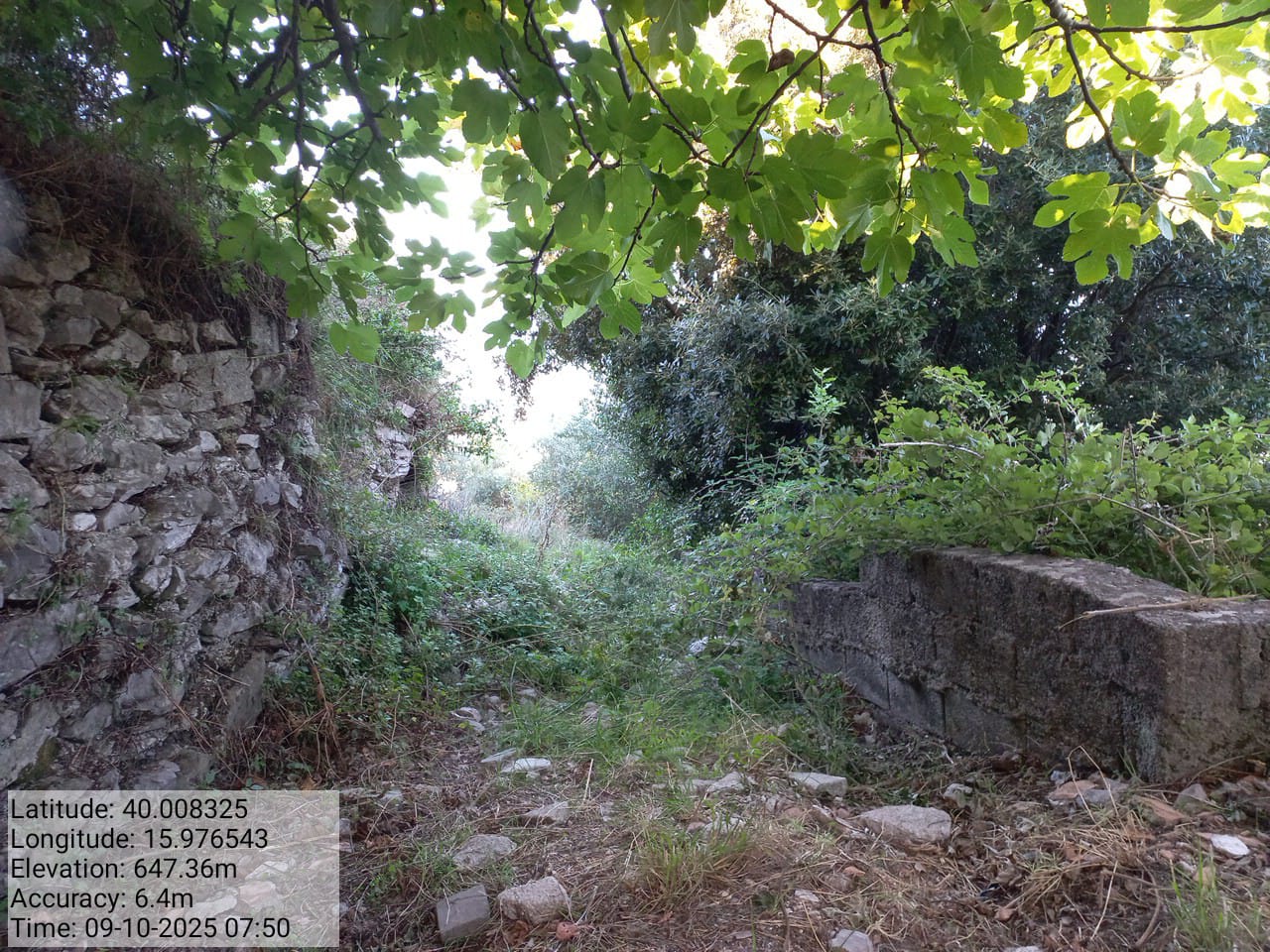 Galleria Fotografica Immagine