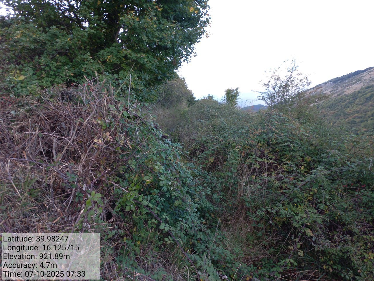 Galleria Fotografica Immagine