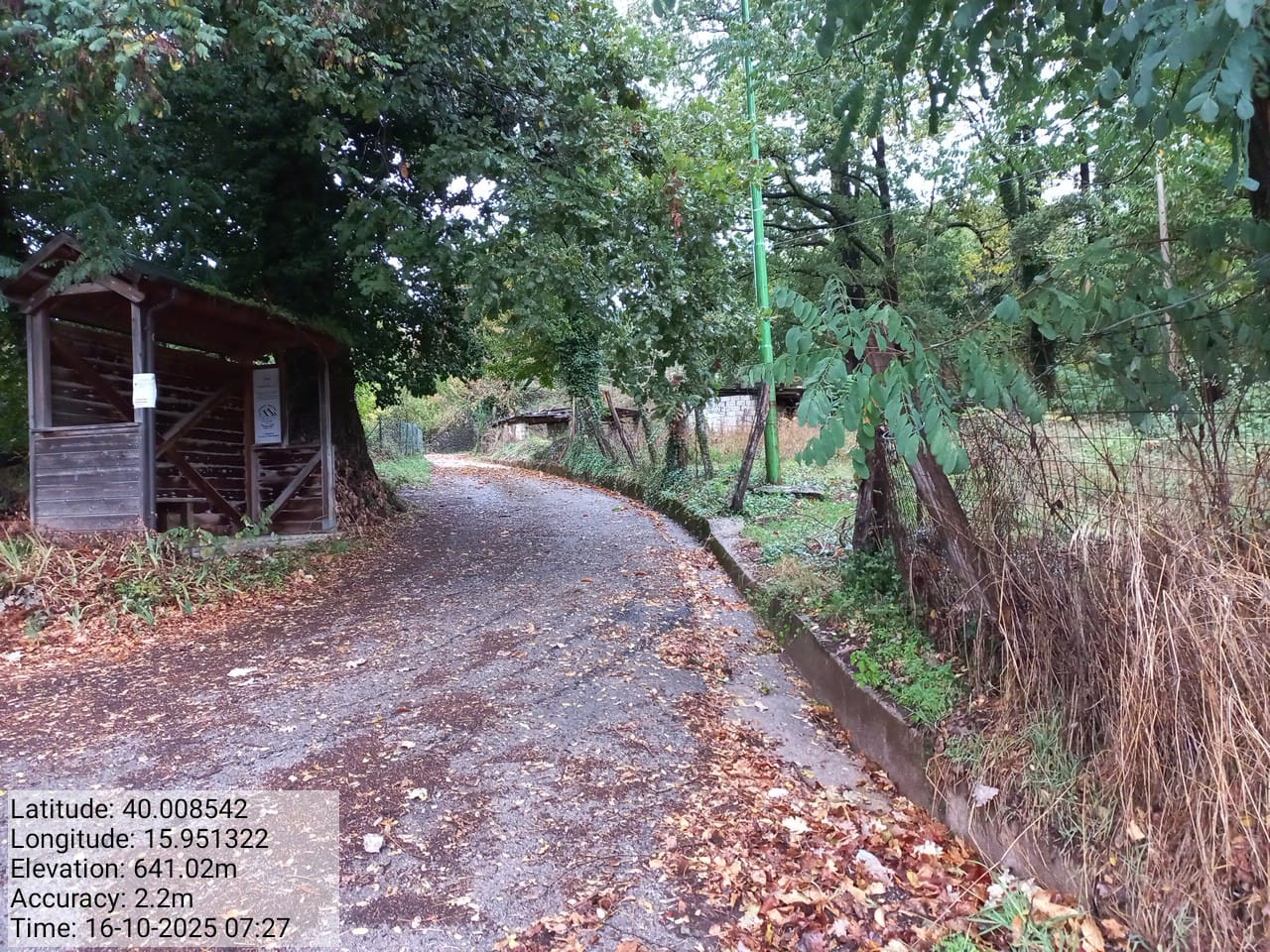 Galleria Fotografica Immagine