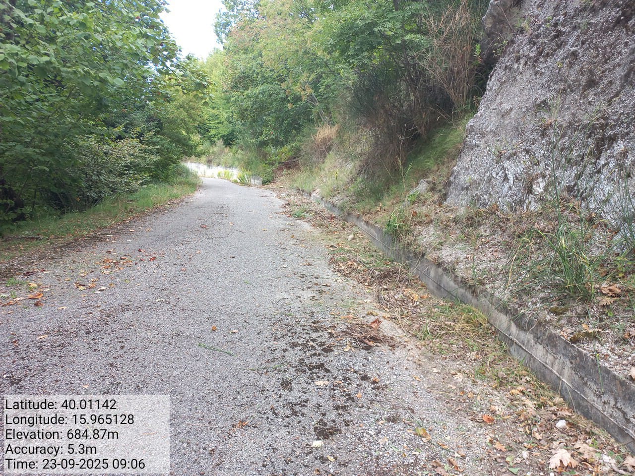 Galleria Fotografica Immagine