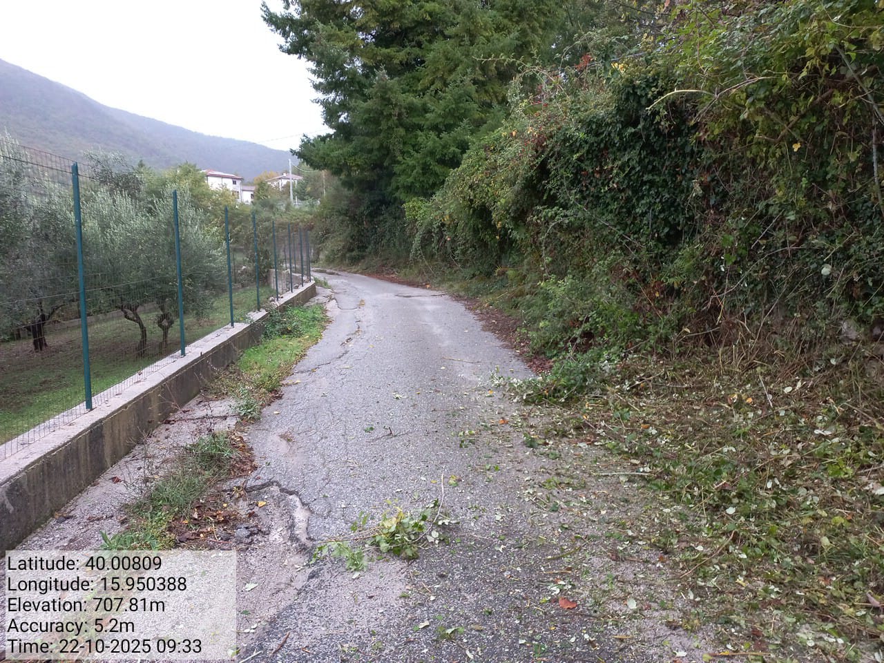 Galleria Fotografica Immagine