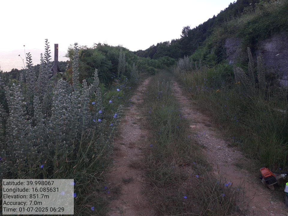 Galleria Fotografica Immagine