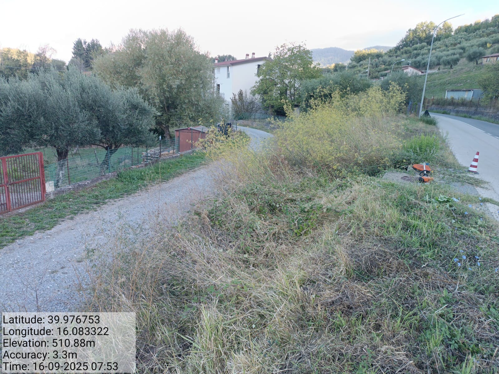 Galleria Fotografica Immagine