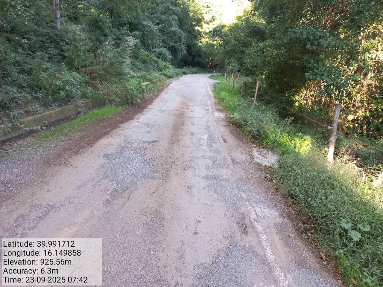 Galleria Fotografica Immagine