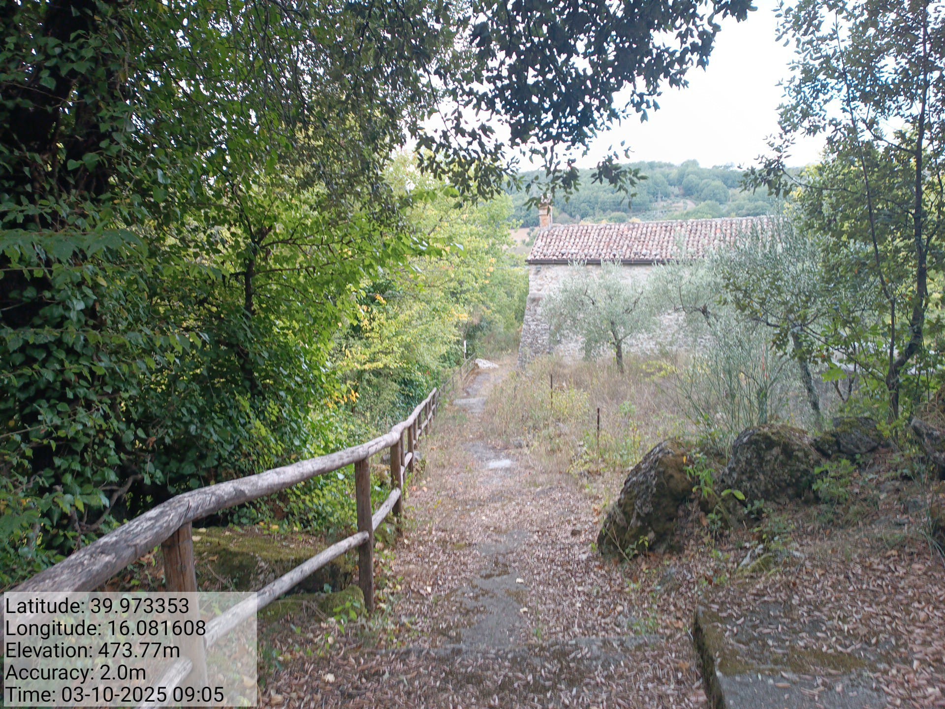 Galleria Fotografica Immagine