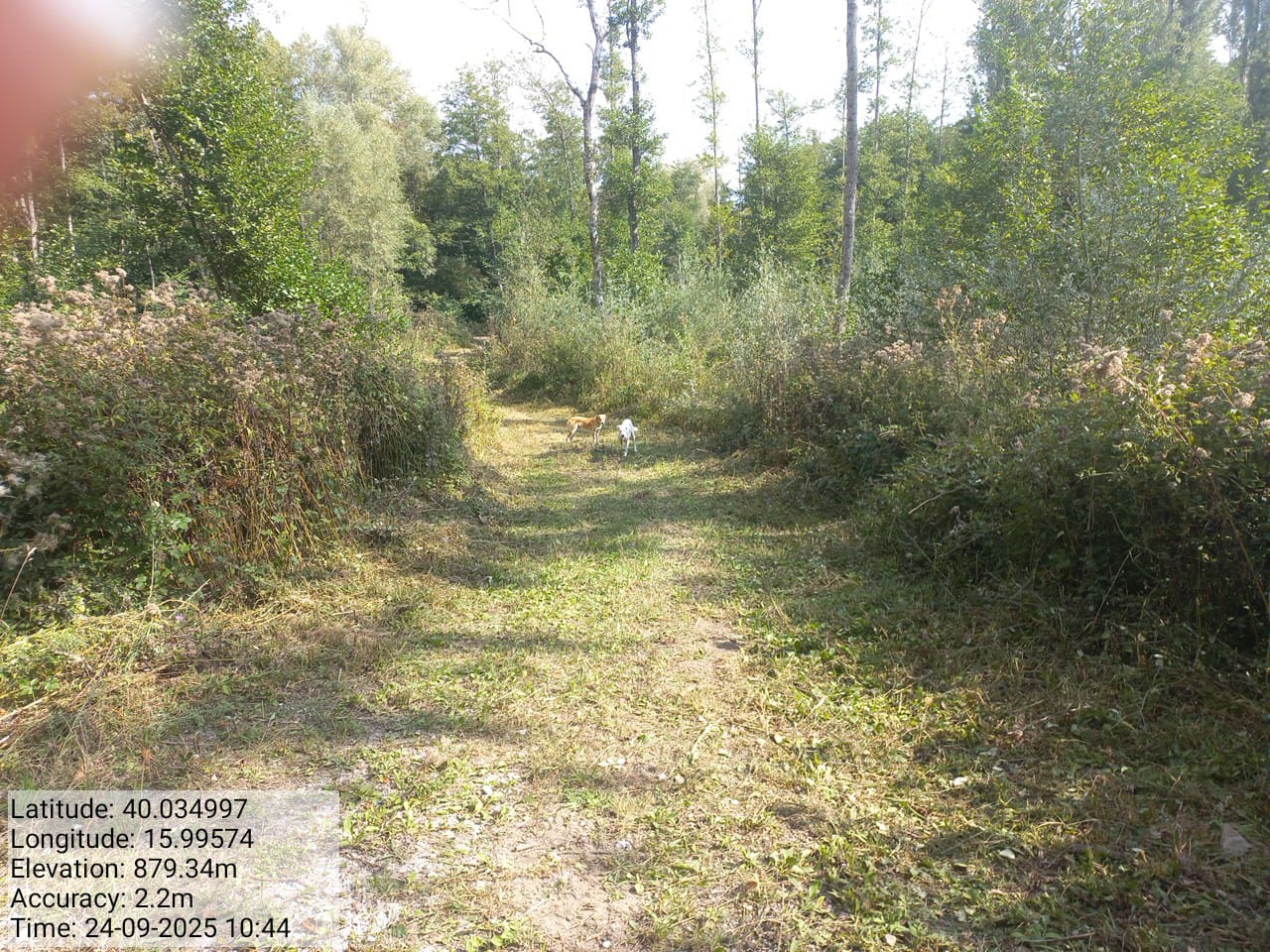 Galleria Fotografica Immagine