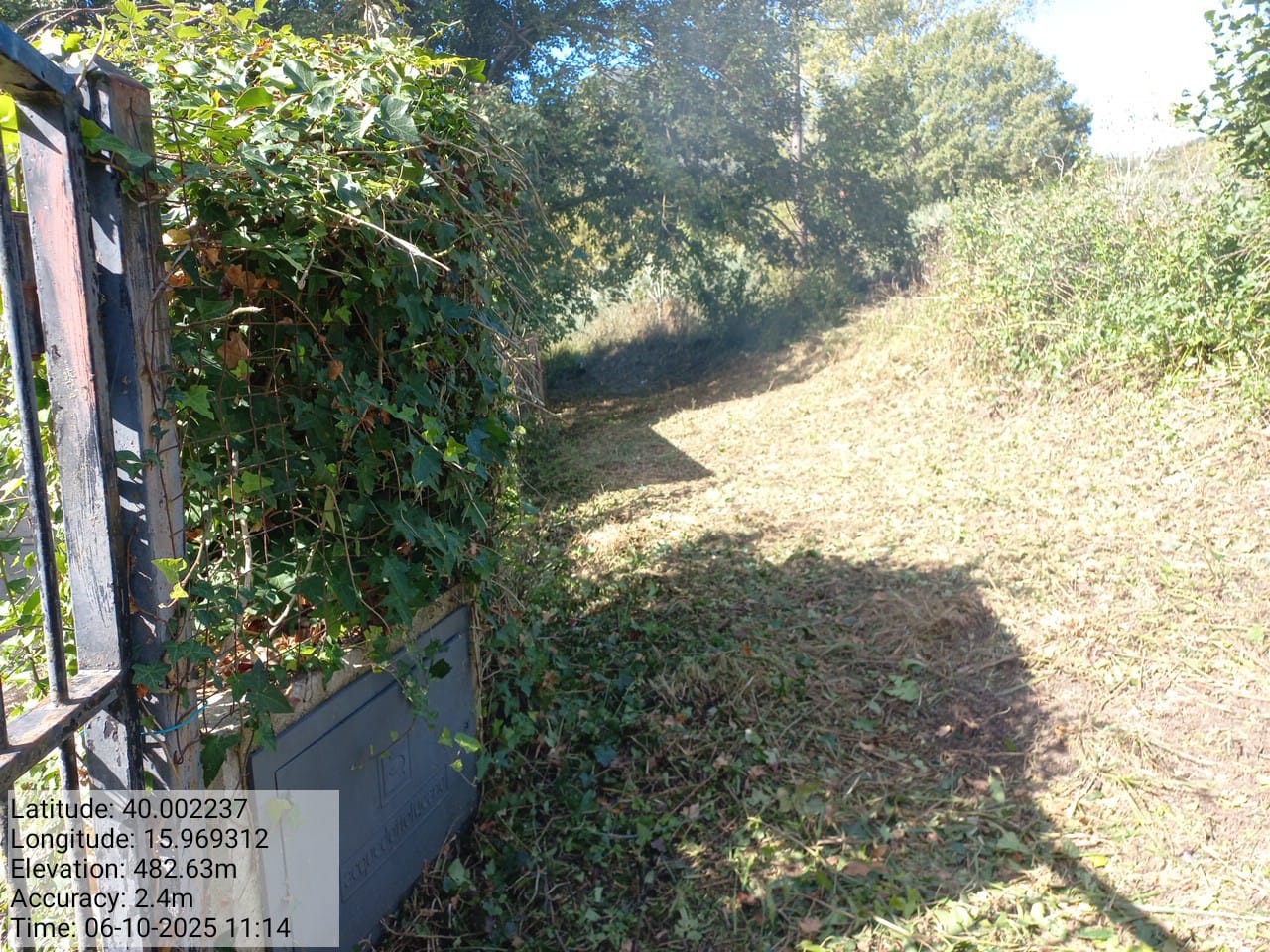 Galleria Fotografica Immagine