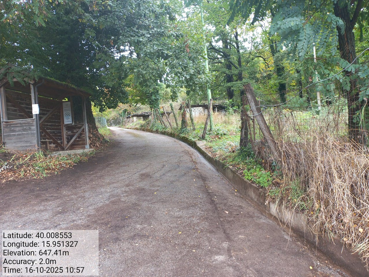 Galleria Fotografica Immagine