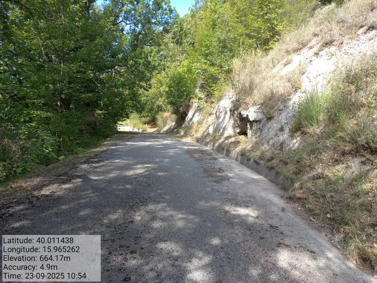 Galleria Fotografica Immagine