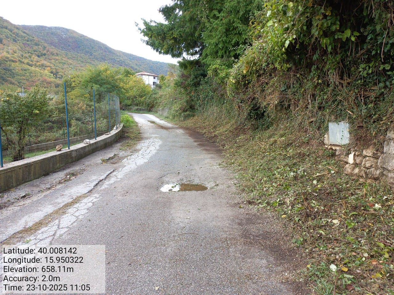 Galleria Fotografica Immagine