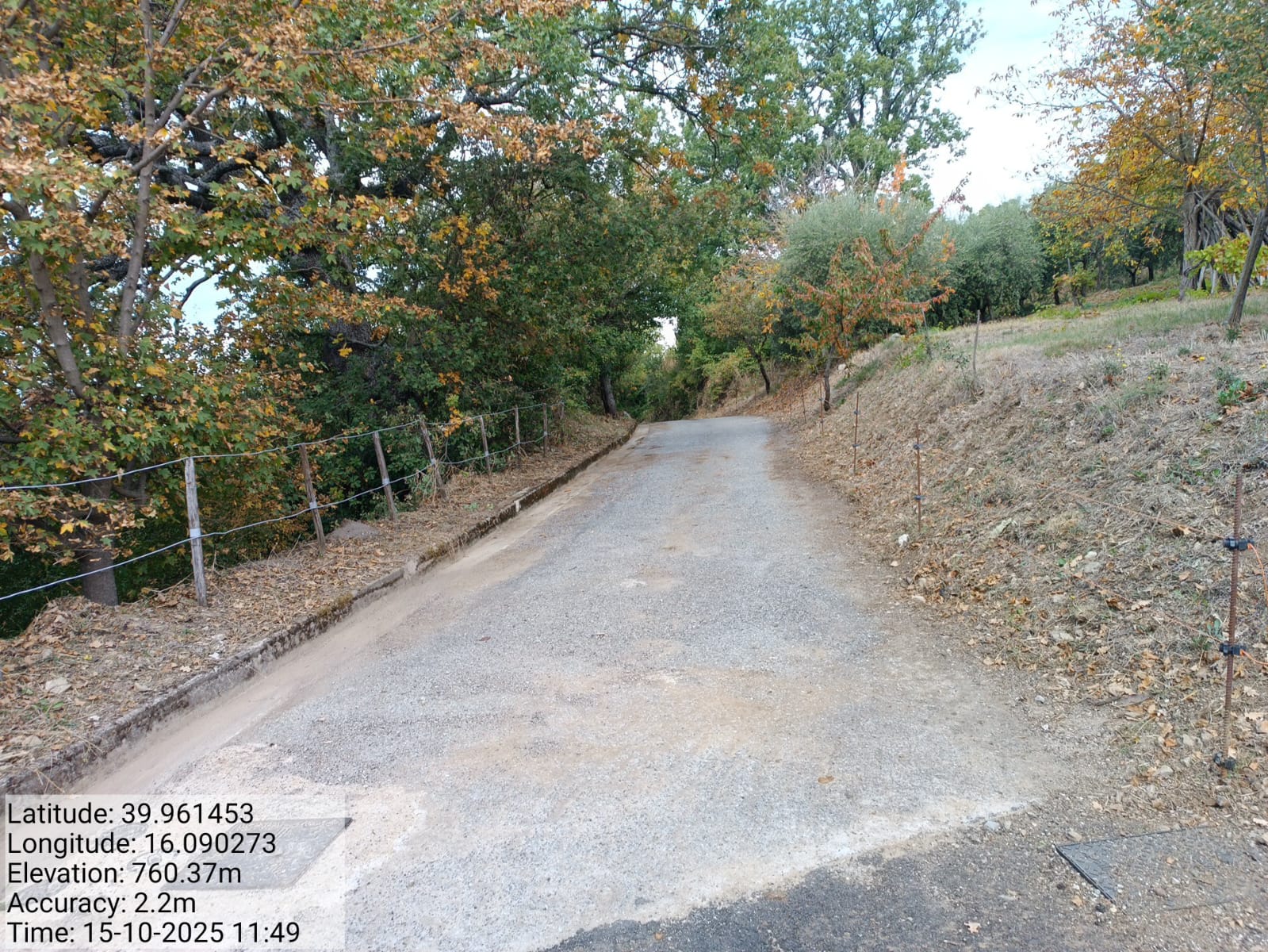 Galleria Fotografica Immagine