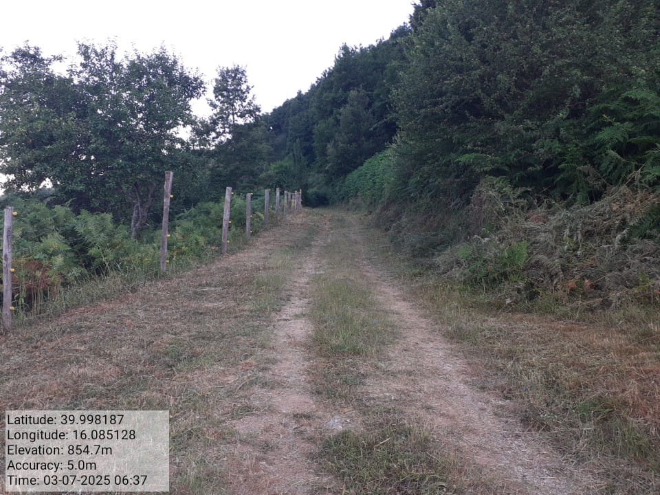 Galleria Fotografica Immagine