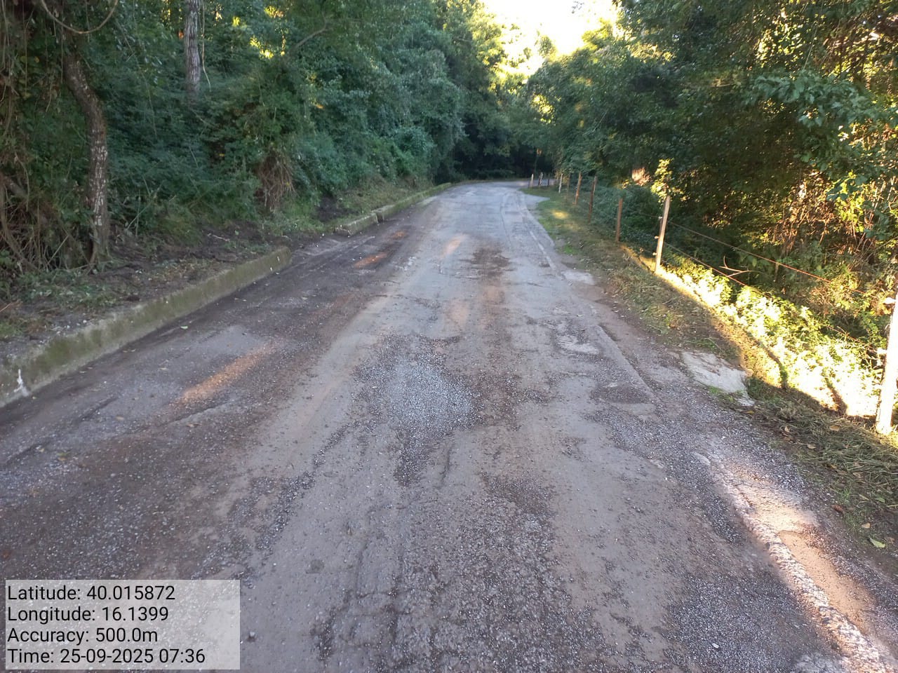 Galleria Fotografica Immagine