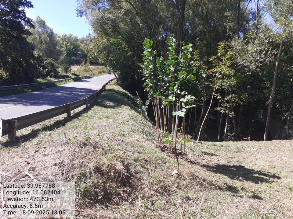 Galleria Fotografica Immagine