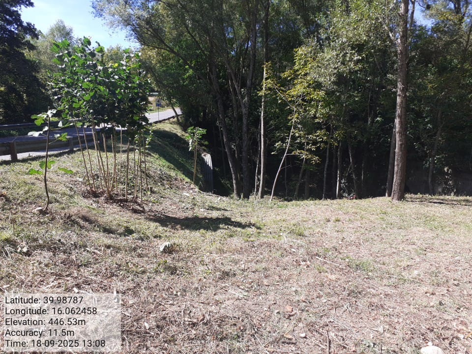 Galleria Fotografica Immagine