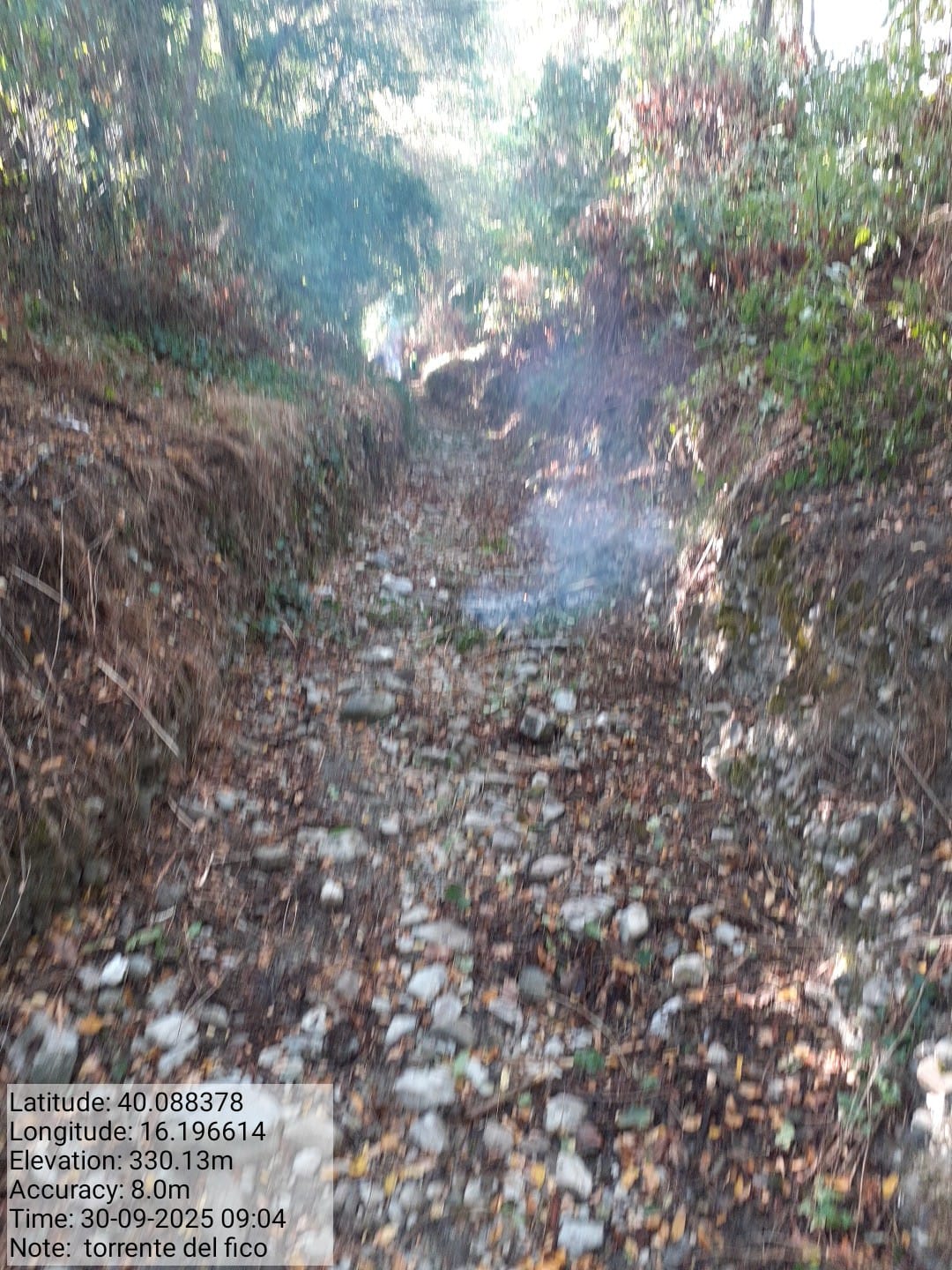 Galleria Fotografica Immagine