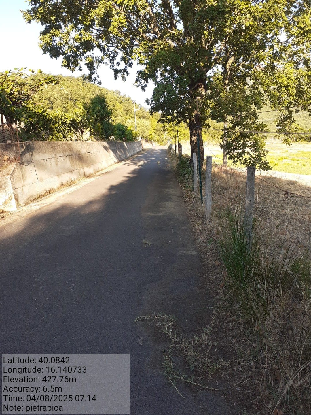 Galleria Fotografica Immagine