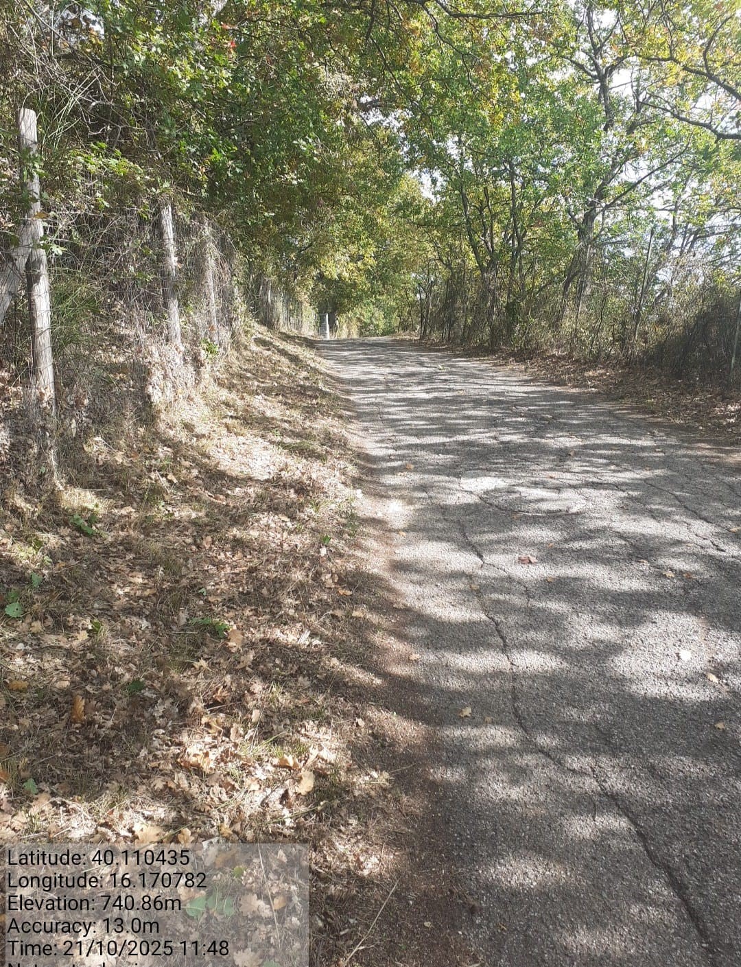 Galleria Fotografica Immagine