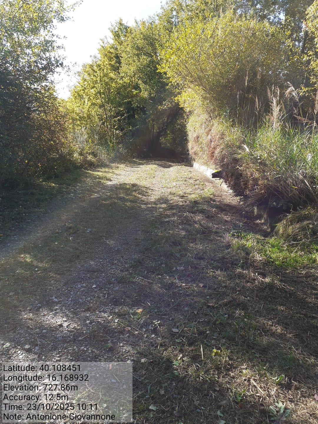 Galleria Fotografica Immagine