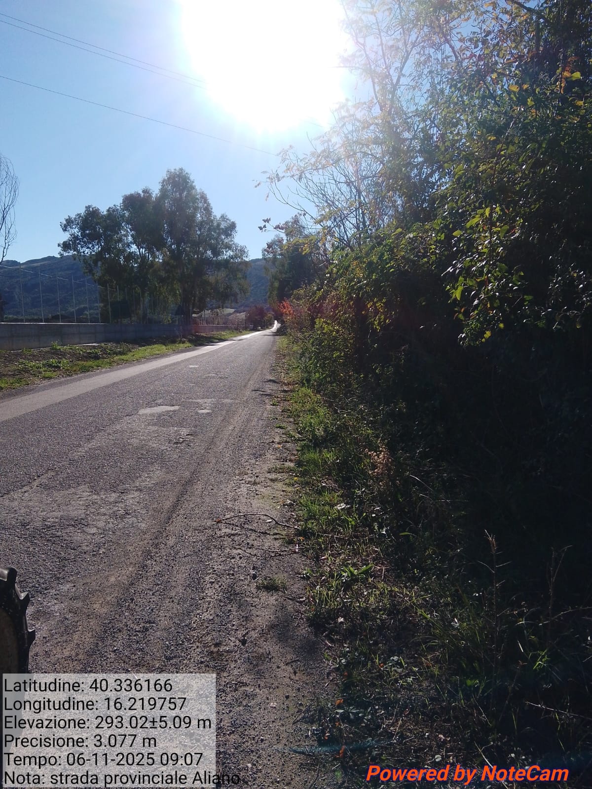 Galleria Fotografica Immagine