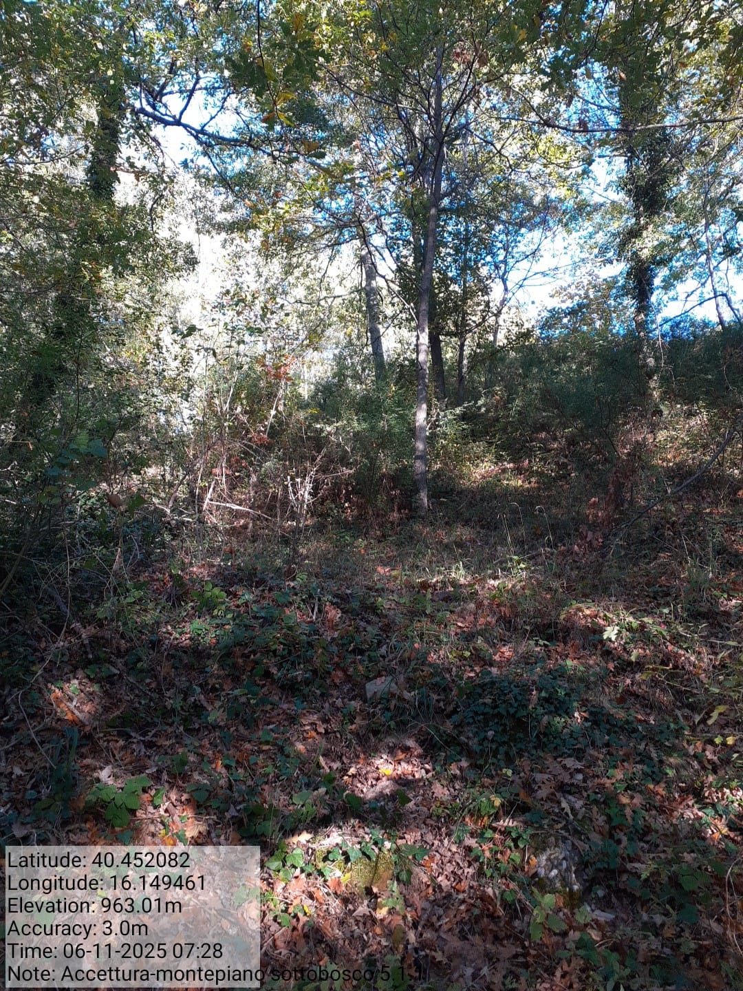 Galleria Fotografica Immagine