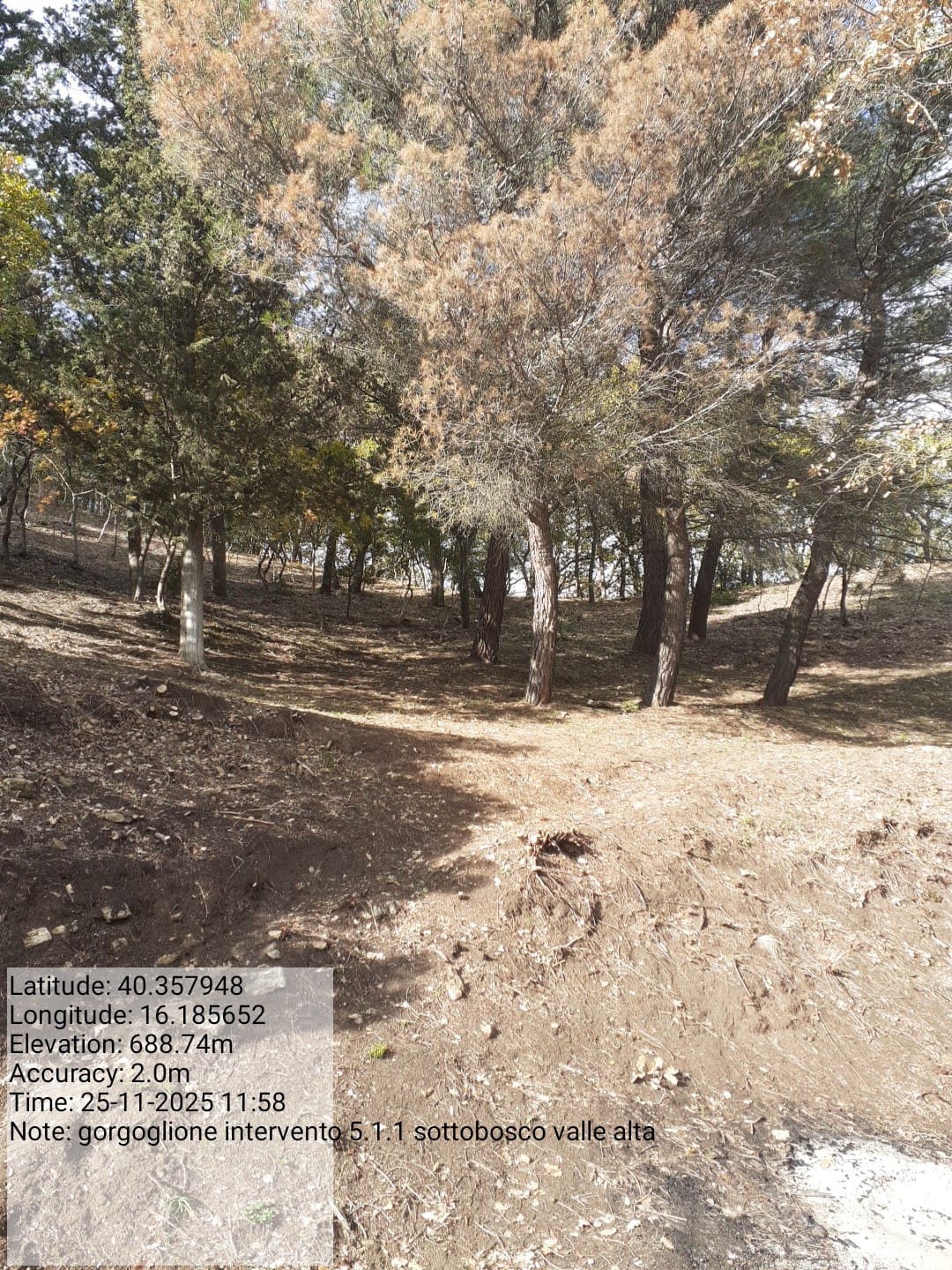 Galleria Fotografica Immagine