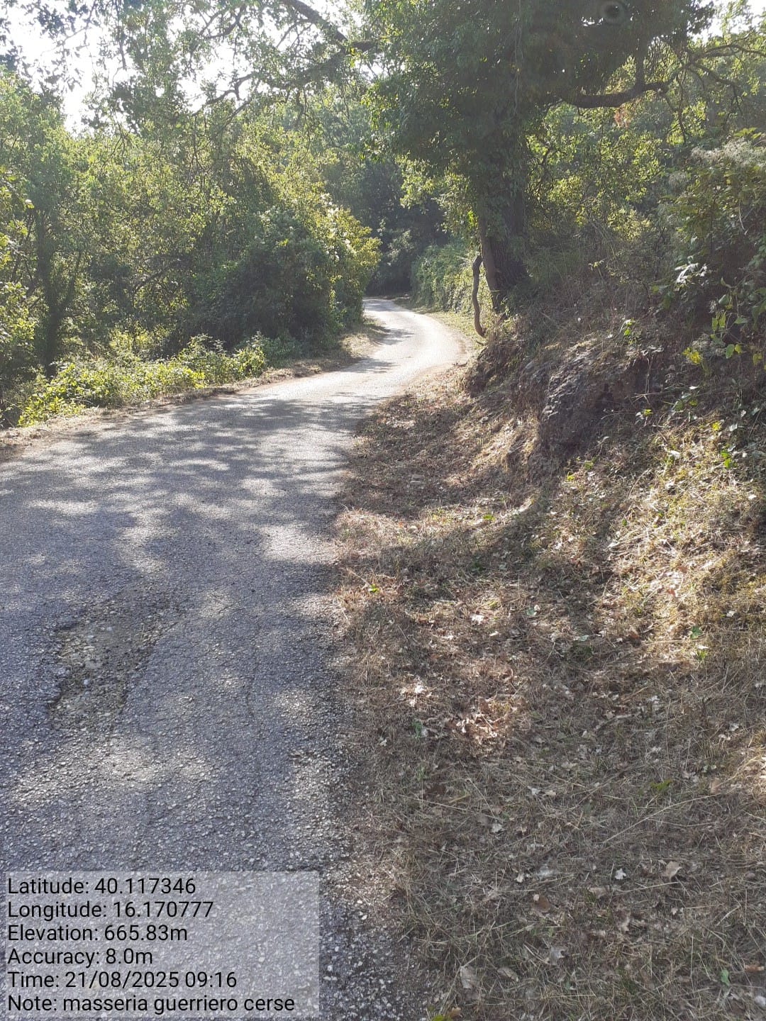 Galleria Fotografica Immagine