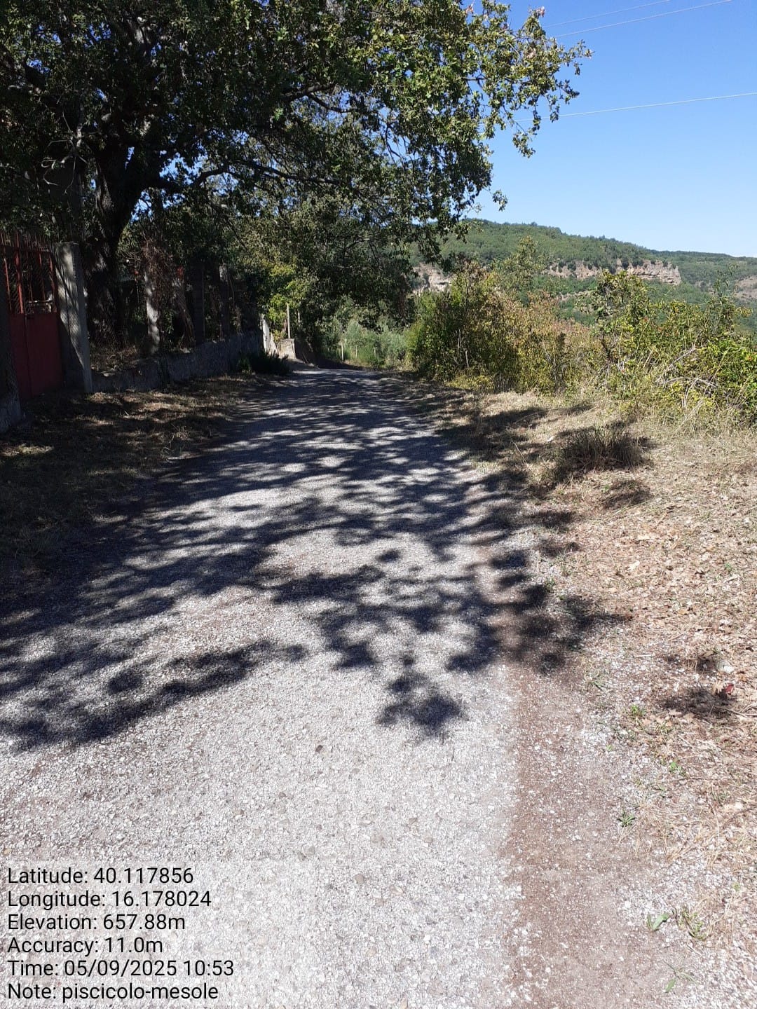 Galleria Fotografica Immagine