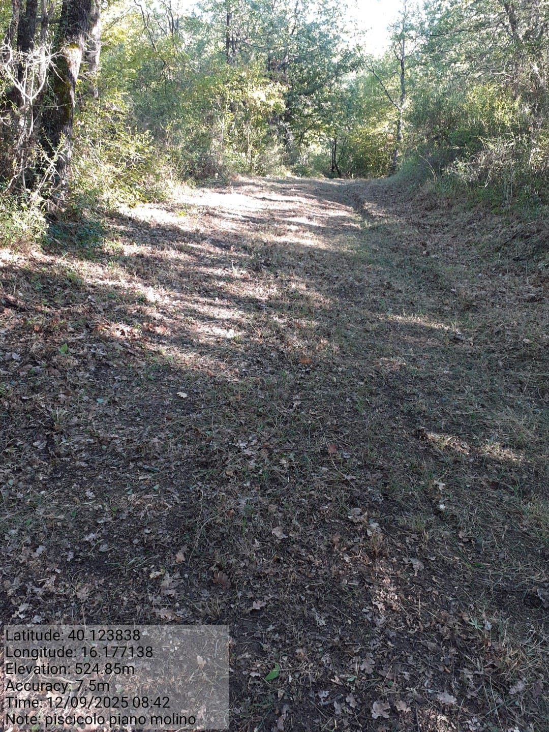 Galleria Fotografica Immagine