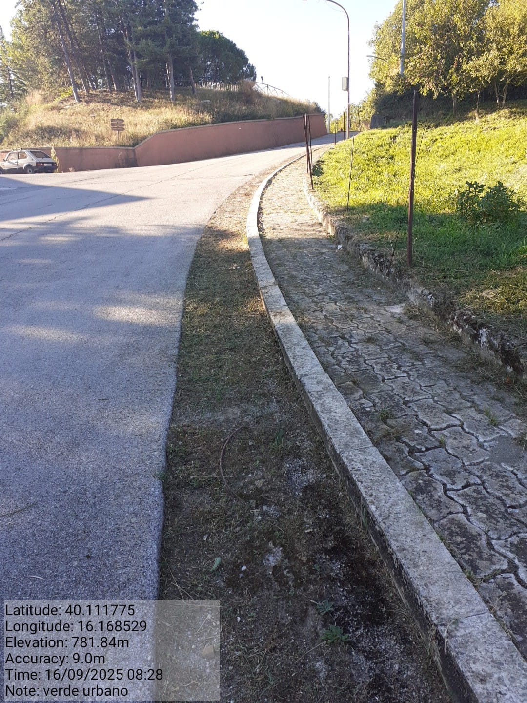 Galleria Fotografica Immagine