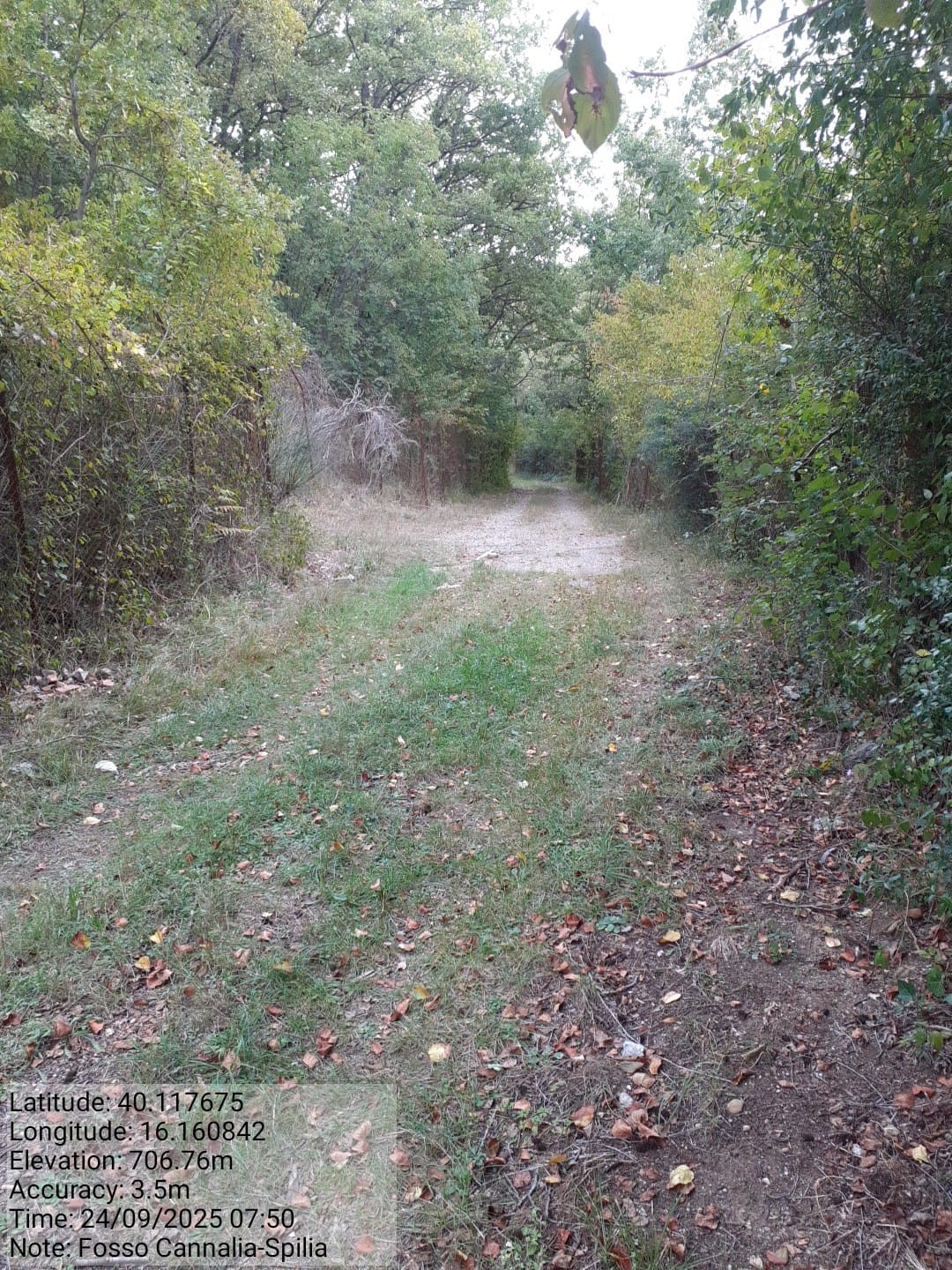 Galleria Fotografica Immagine