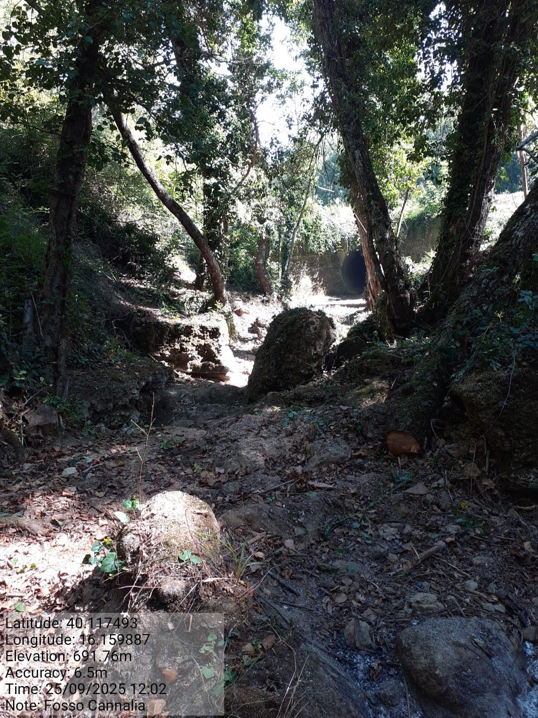 Galleria Fotografica Immagine