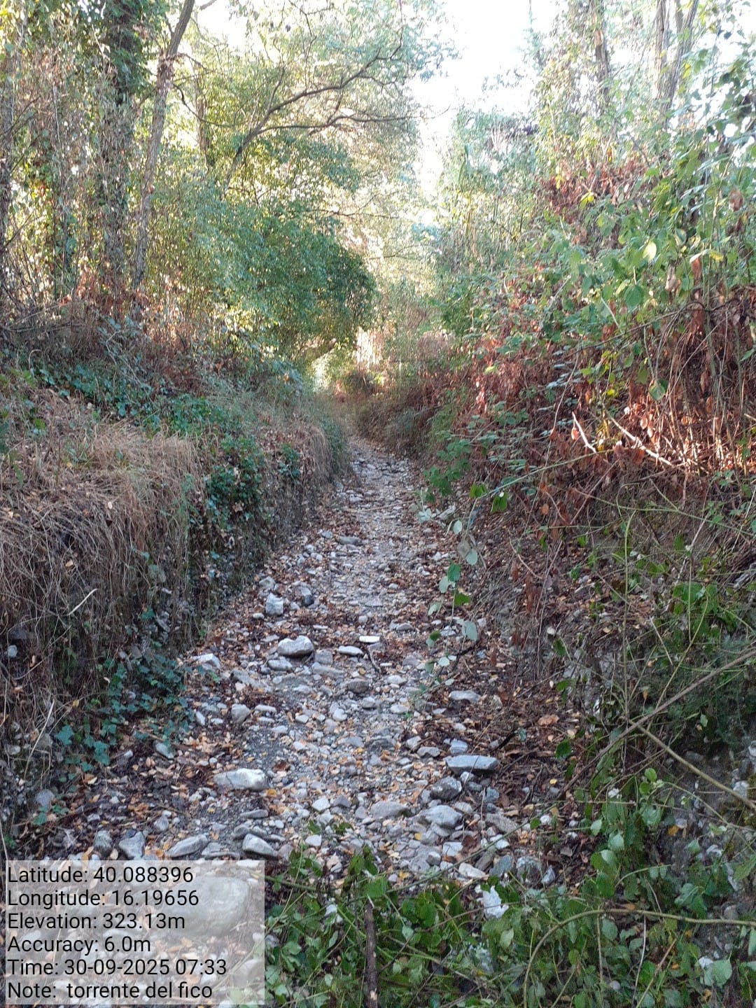 Galleria Fotografica Immagine