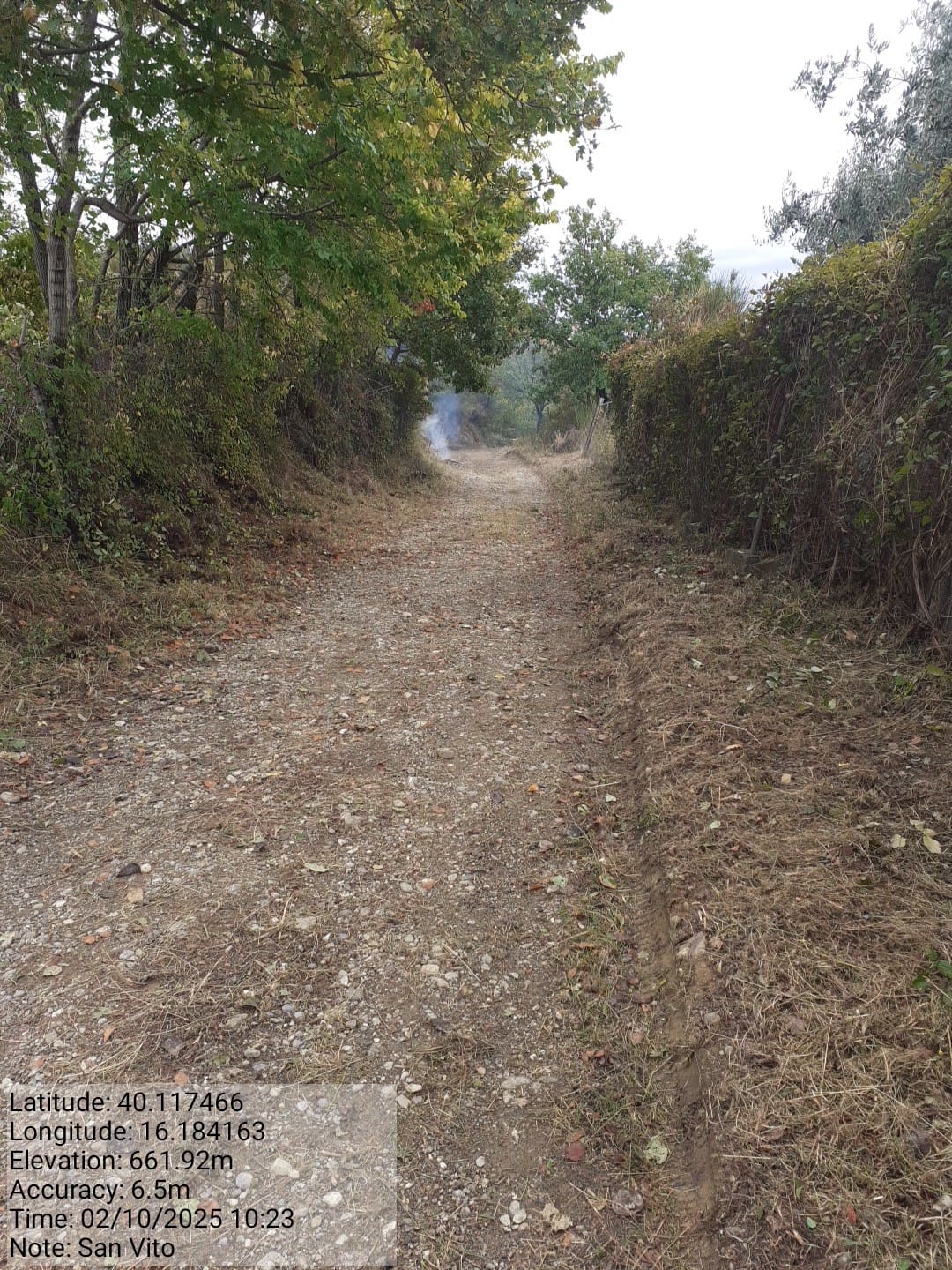 Galleria Fotografica Immagine