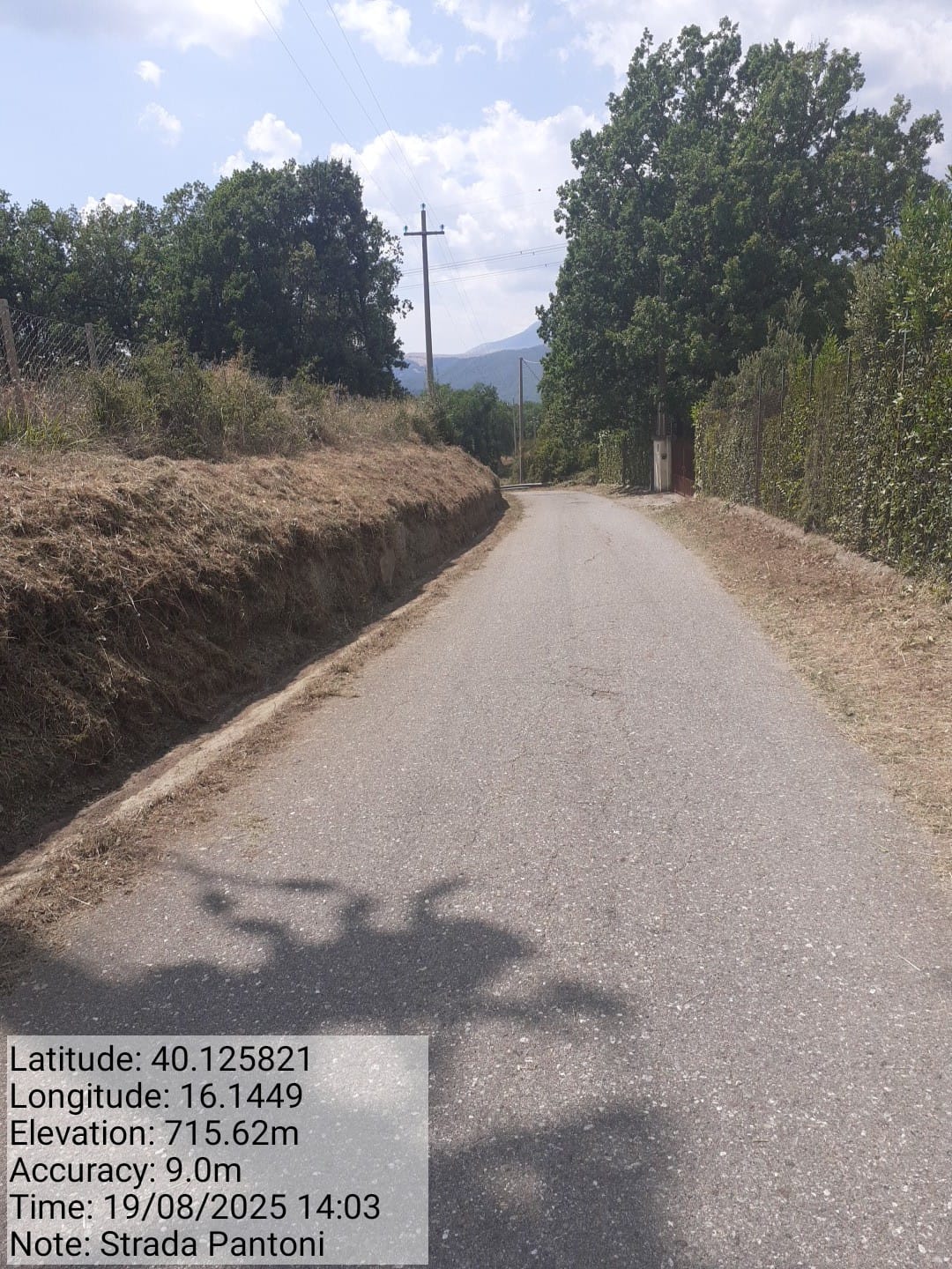 Galleria Fotografica Immagine