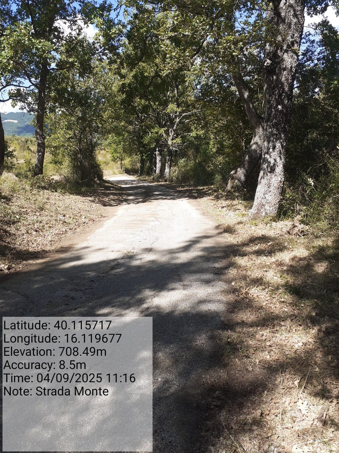 Galleria Fotografica Immagine