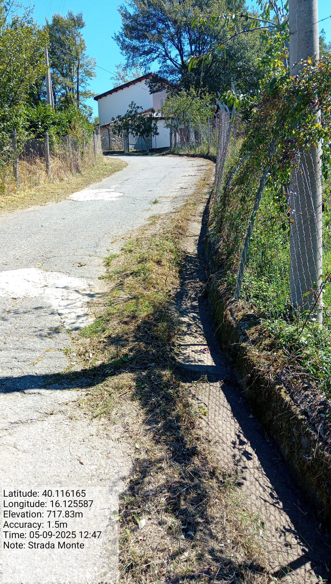 Galleria Fotografica Immagine