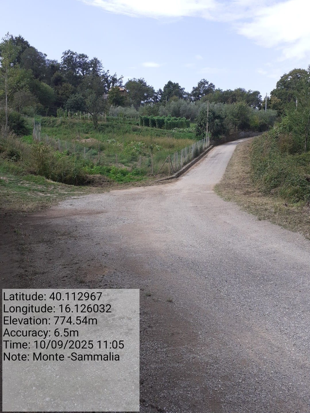 Galleria Fotografica Immagine